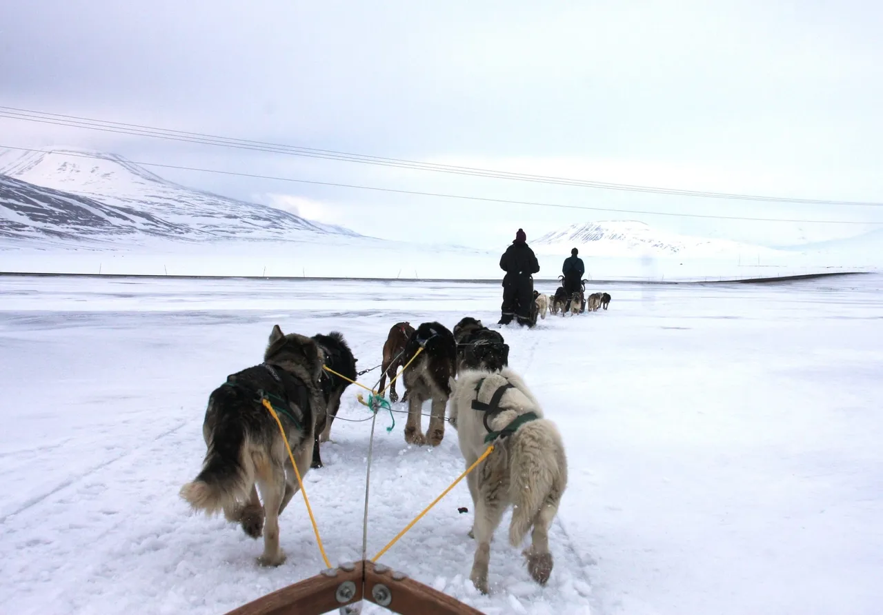 A team of sled dogs pulling across a wide, snow-covered valley under a pale sky, with another sled ahead